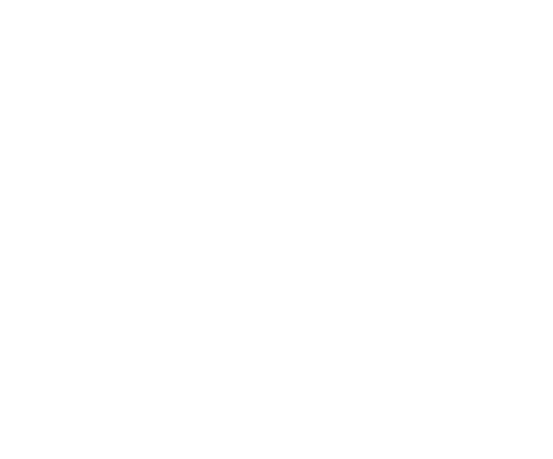 Amara agency